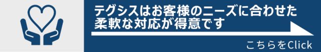 テグシスはお客様のニーズに合わせた柔軟な対応が得意です